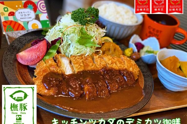 キッチンツカダのデミカツ御膳